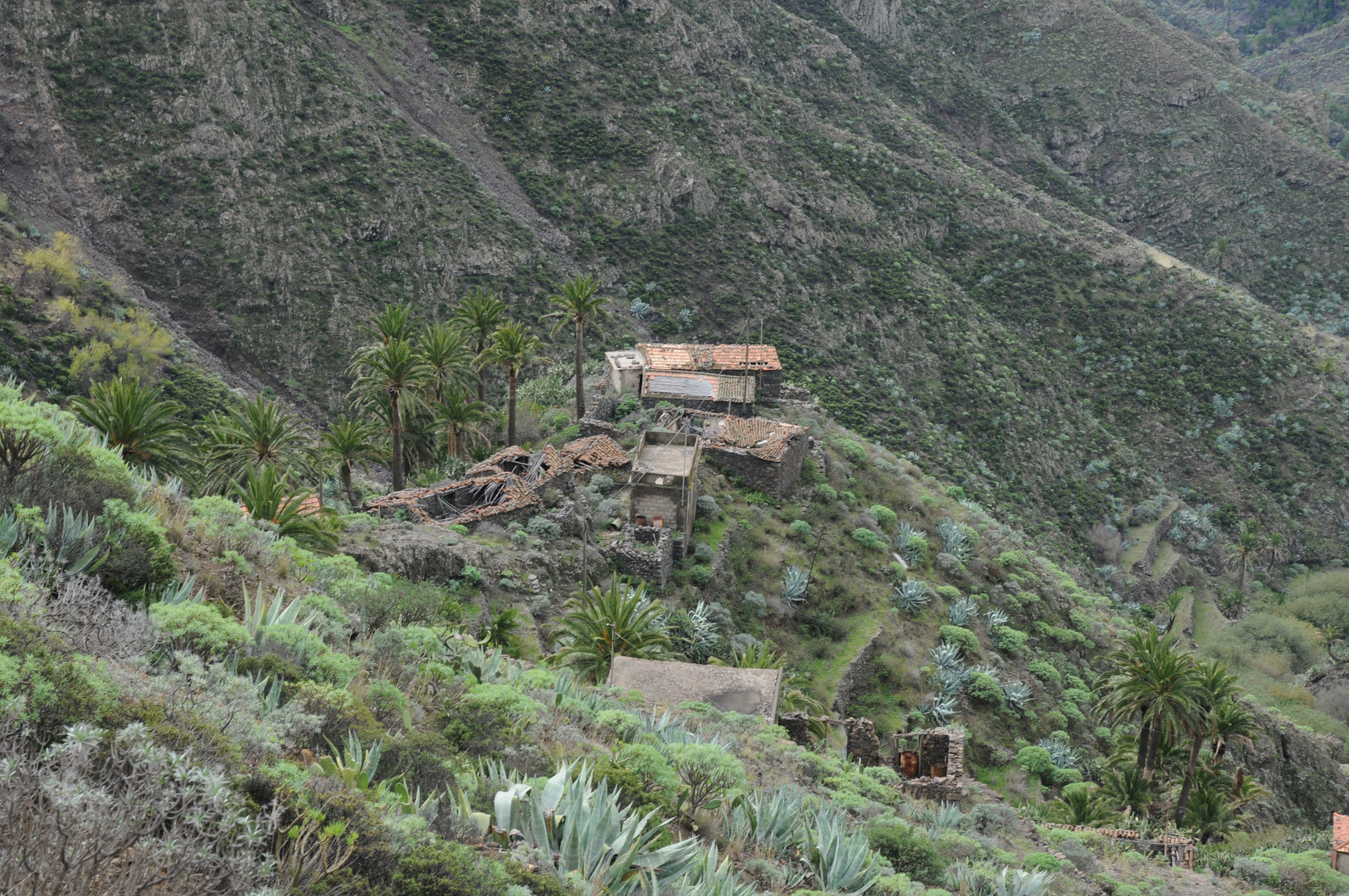 Im Barranco von Erque