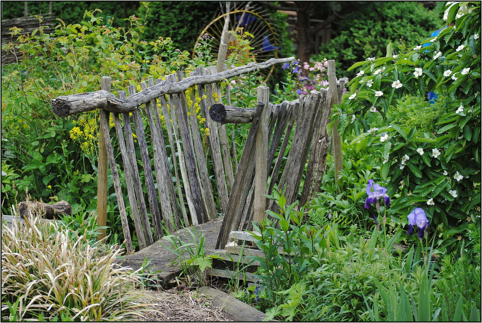 Im Bauerngarten #1