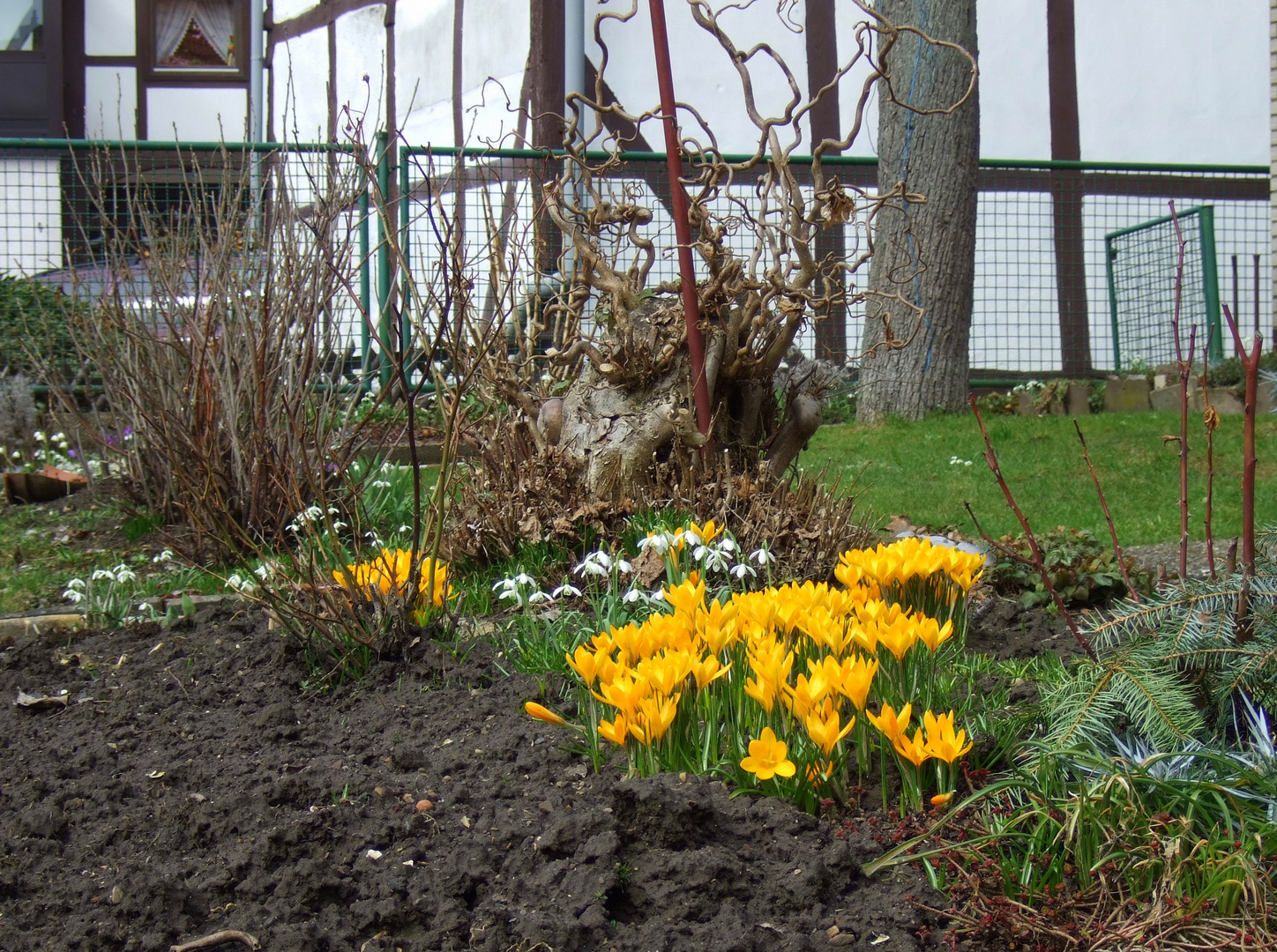 -Im Bauerngarten-