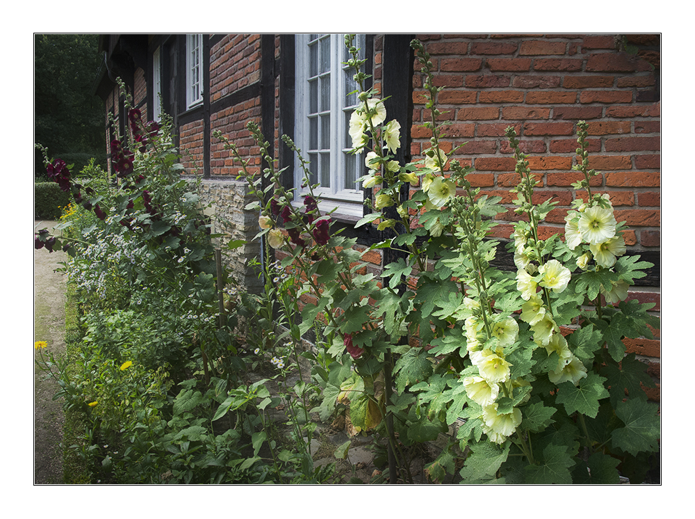 Im Bauerngarten