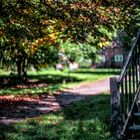 im bauerngarten