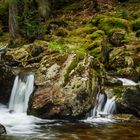 Im Bayerischen Wald 