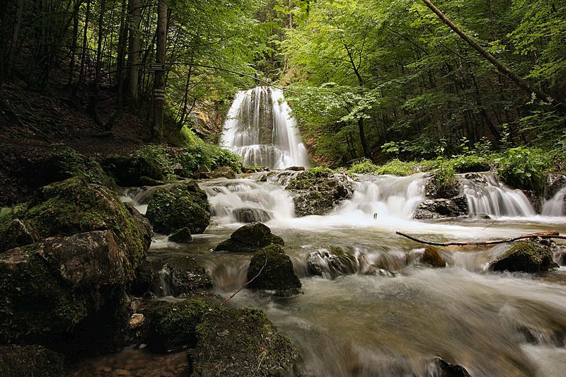 Im Bayerischen Wald