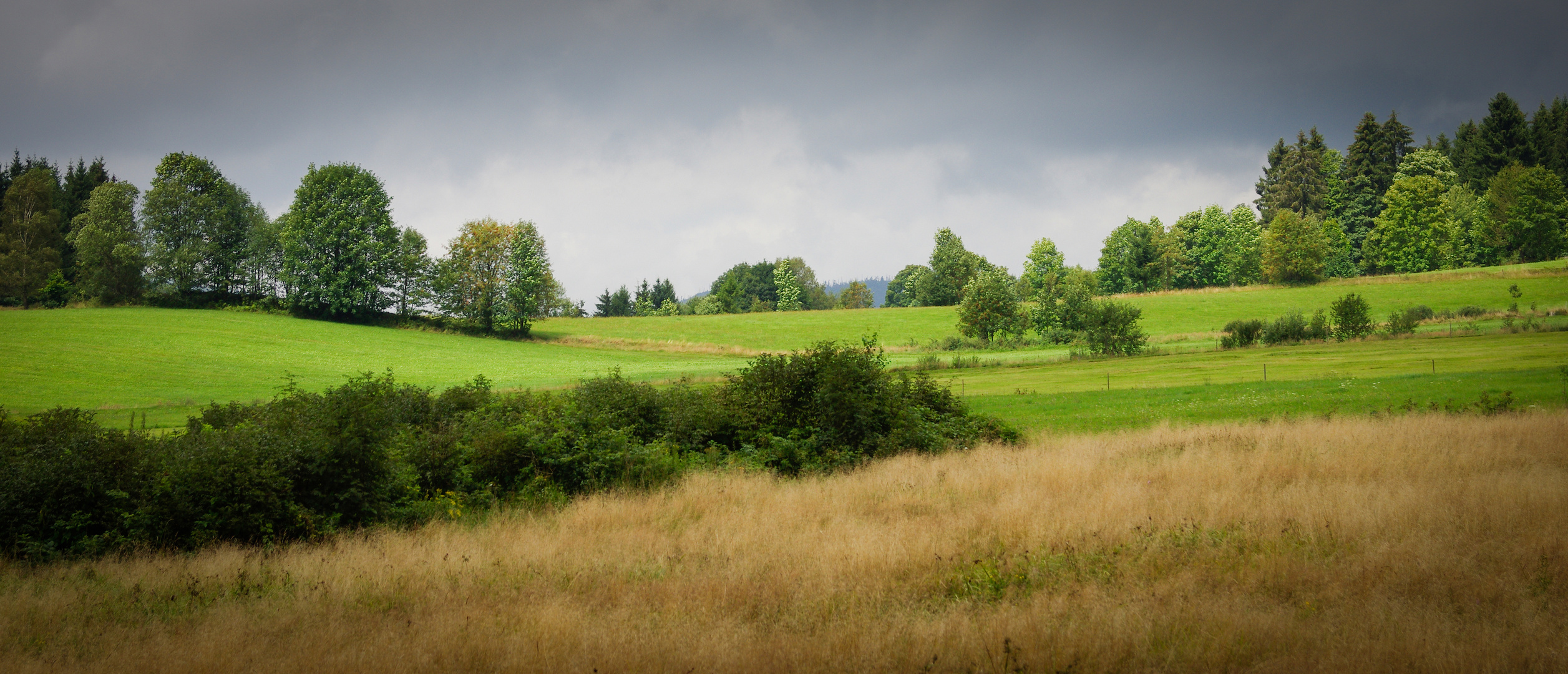 Im Bayerischen Wald