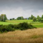 Im Bayerischen Wald