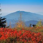 Im Bayerischen Wald