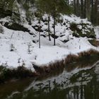 im Bayerischen Wald 
