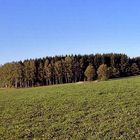 Im Bayerischen Wald