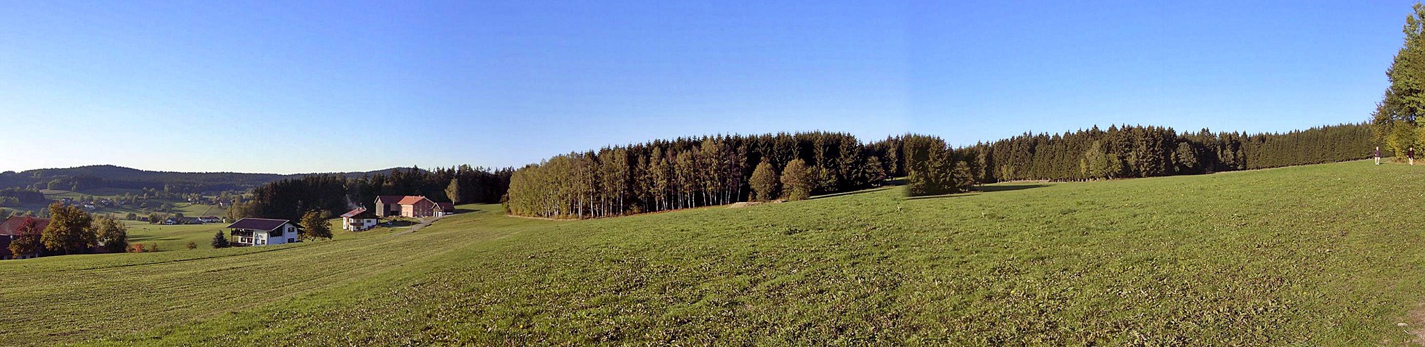 Im Bayerischen Wald