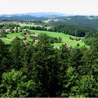 Im Bayerischen Wald