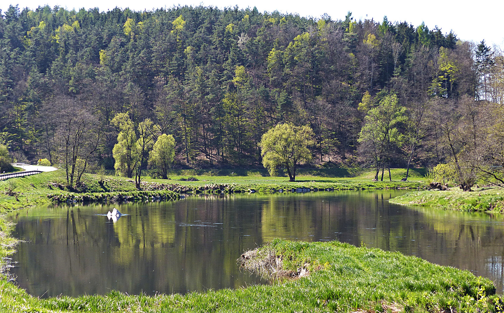 Im Bayerischen Wald