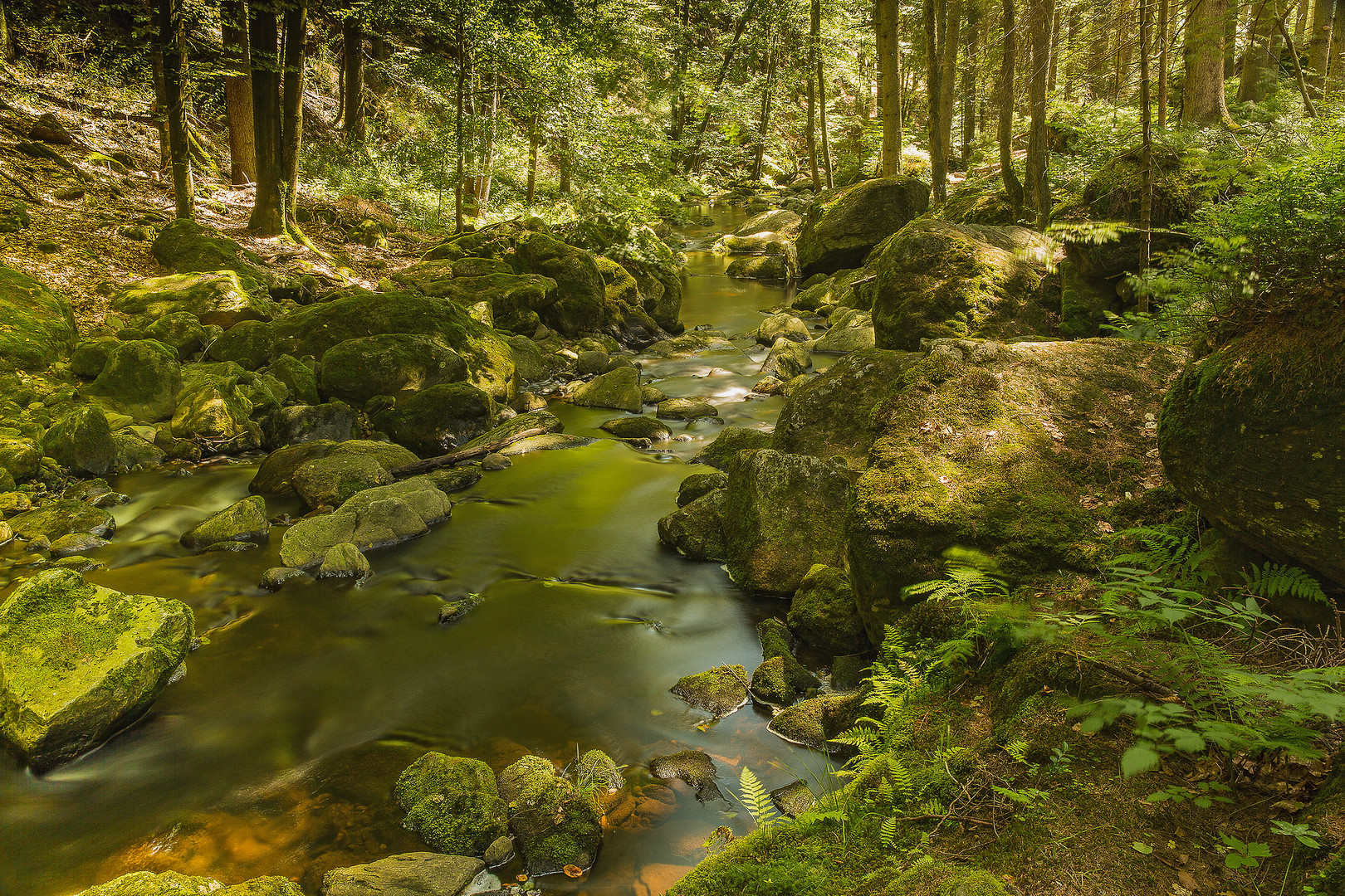 Im Bayerischen Wald