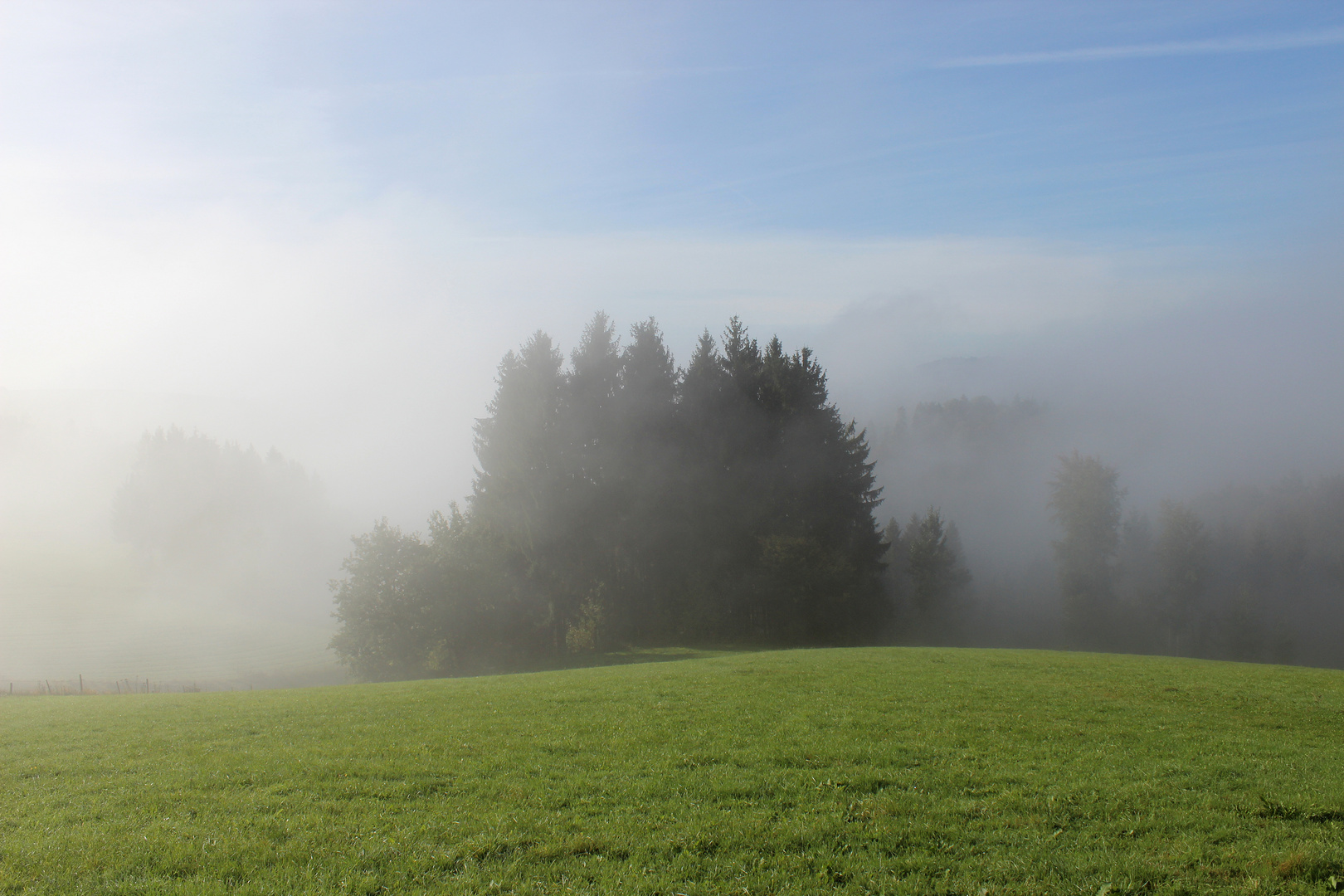 Im Bayerischen Wald (Oktober 2012)