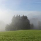 Im Bayerischen Wald (Oktober 2012)