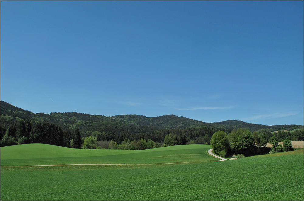 Im Bayerischen Wald unterwegs