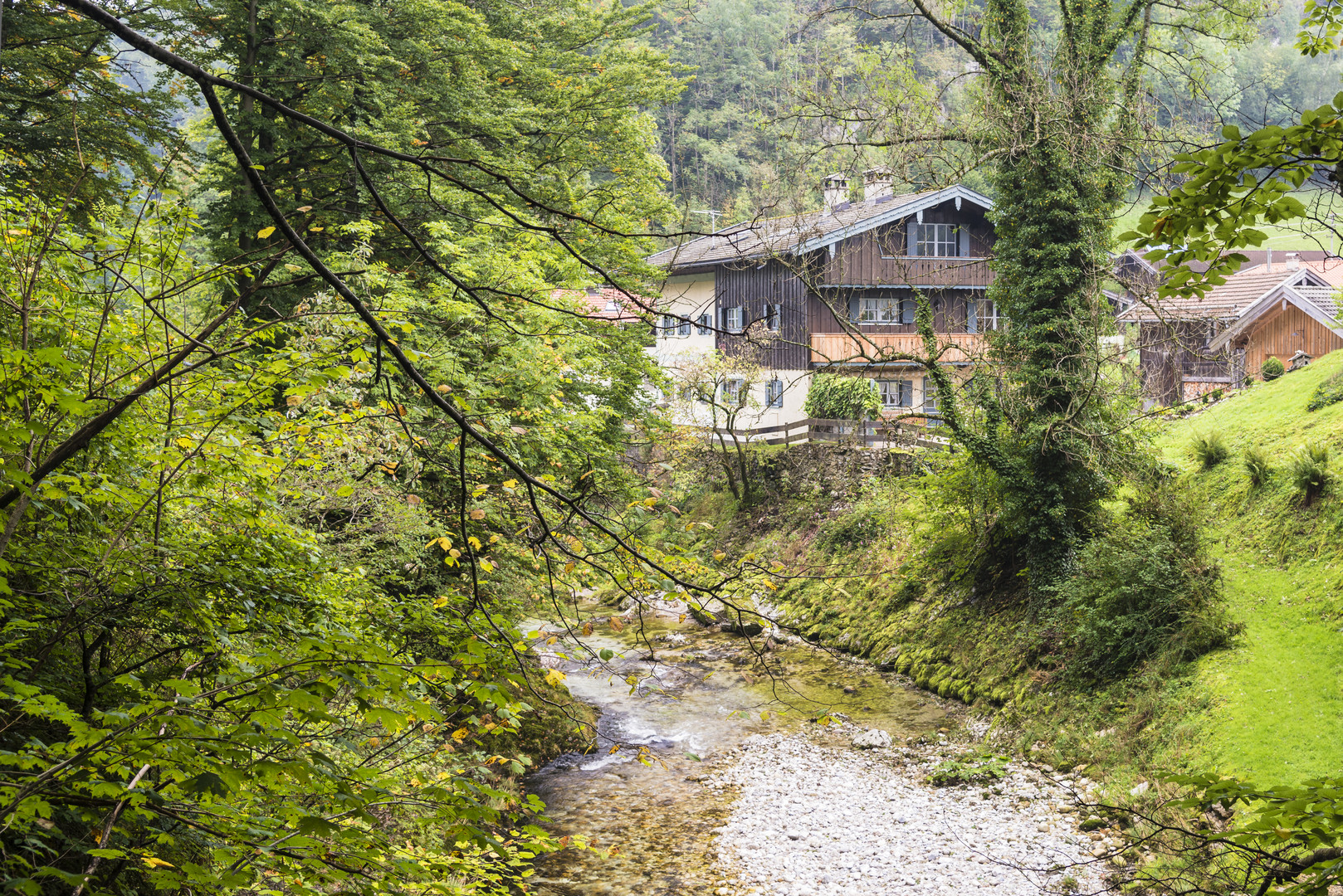 Im Bayrischen Wald