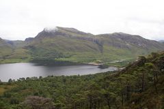 Im Beinn Eighe Natur Reserve im Nordwesten Schottlands...