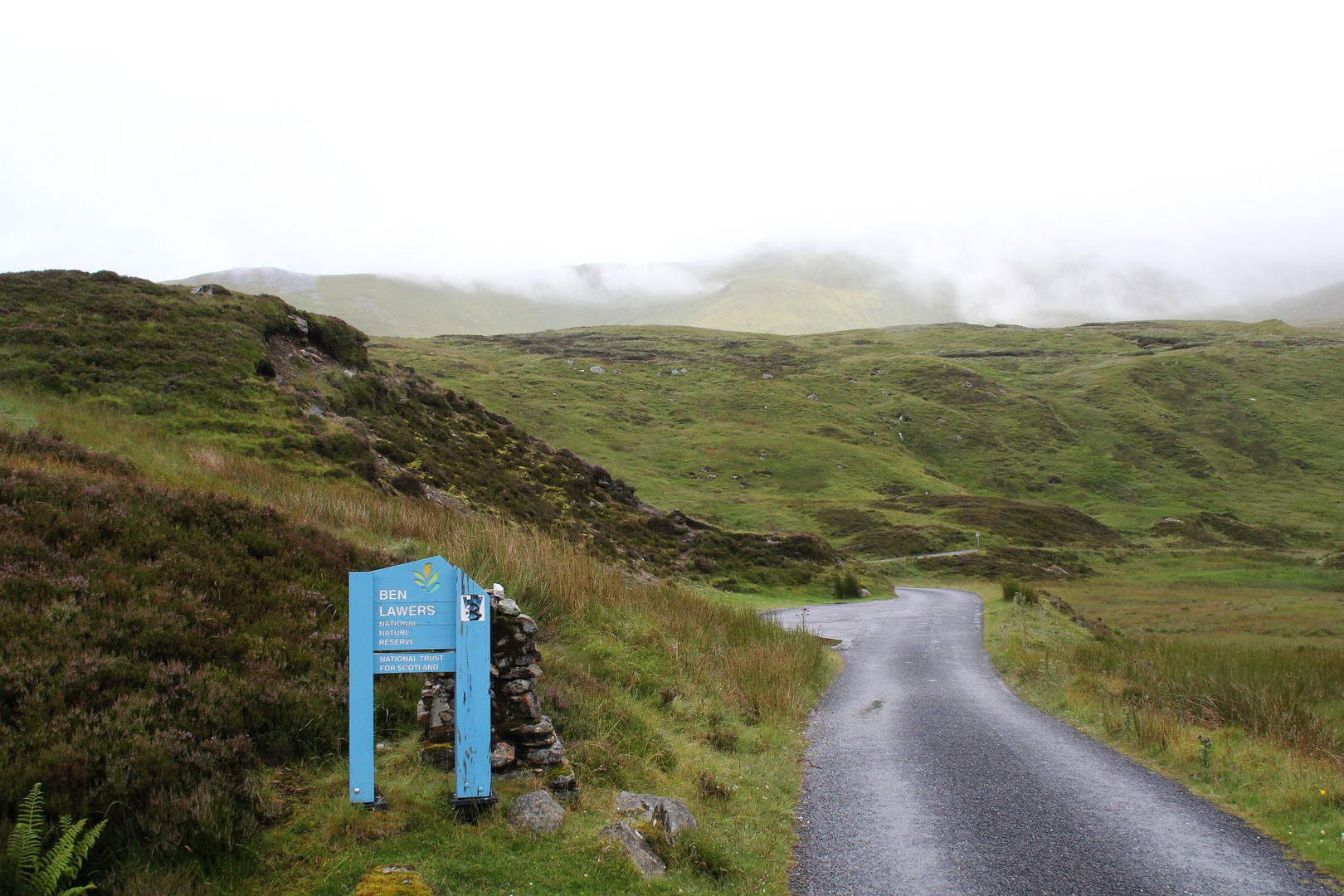 Im Ben Lawers Nature Reserve