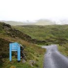 Im Ben Lawers Nature Reserve