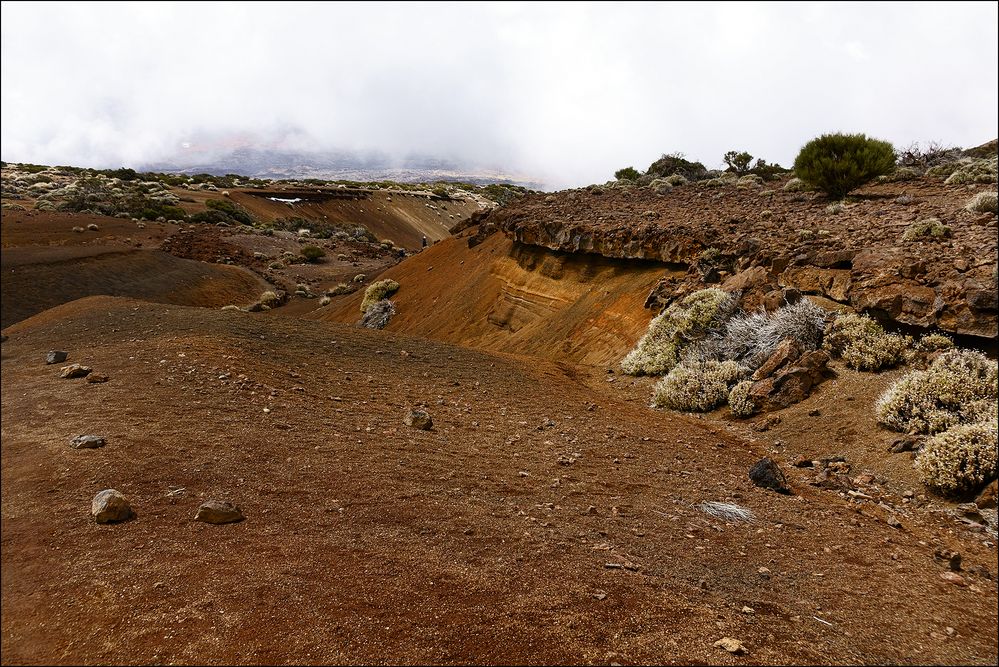 im Bereich der Caldera des Teide