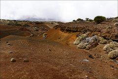 im Bereich der Caldera des Teide