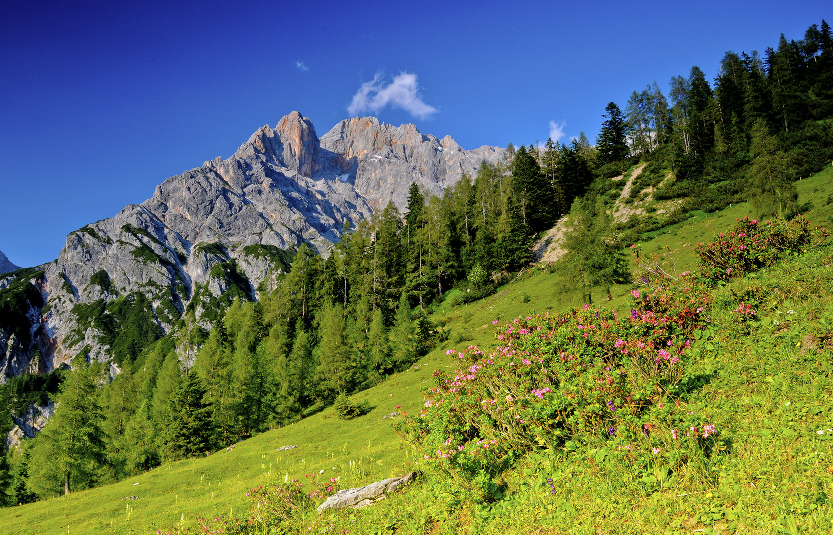 im Bereich der Poschalm