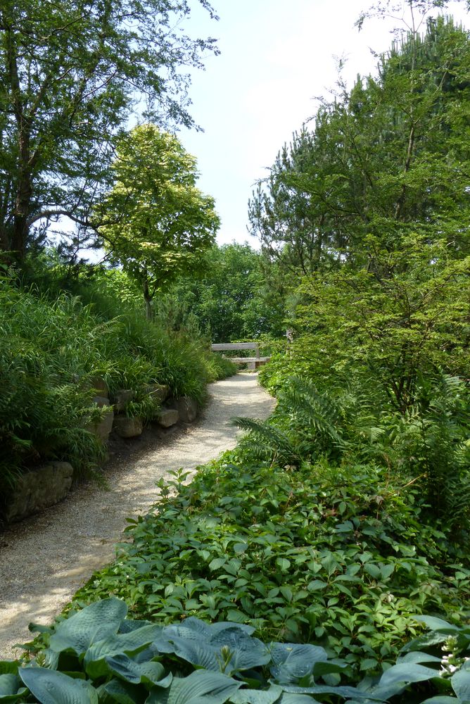 Im Berggarten 1 - Juni 2016 Foto & Bild | natur ...