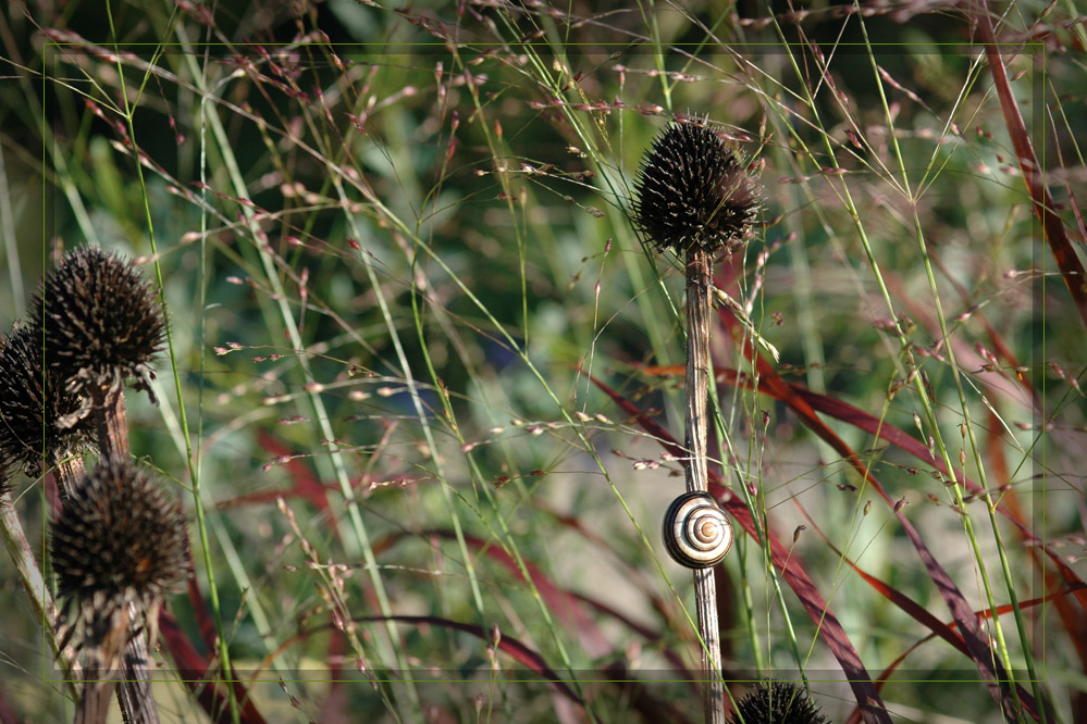 Im Berggarten (4) Platz an der Sonne