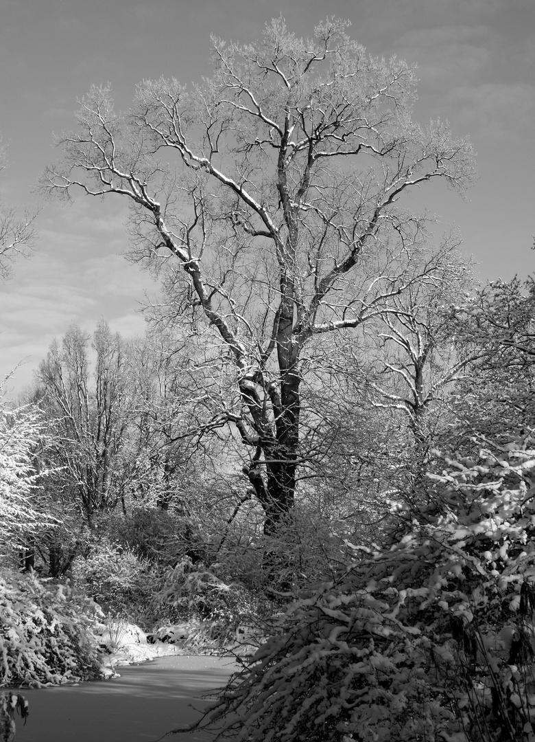 im Berggarten Hannover