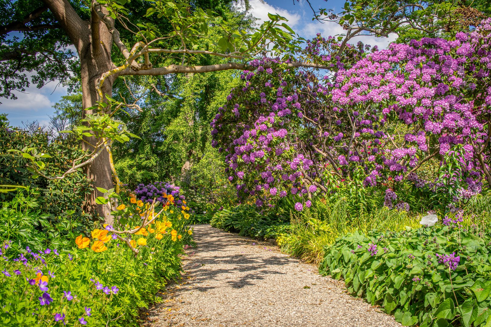 im Berggarten VII Hannover Foto & Bild landschaft, garten