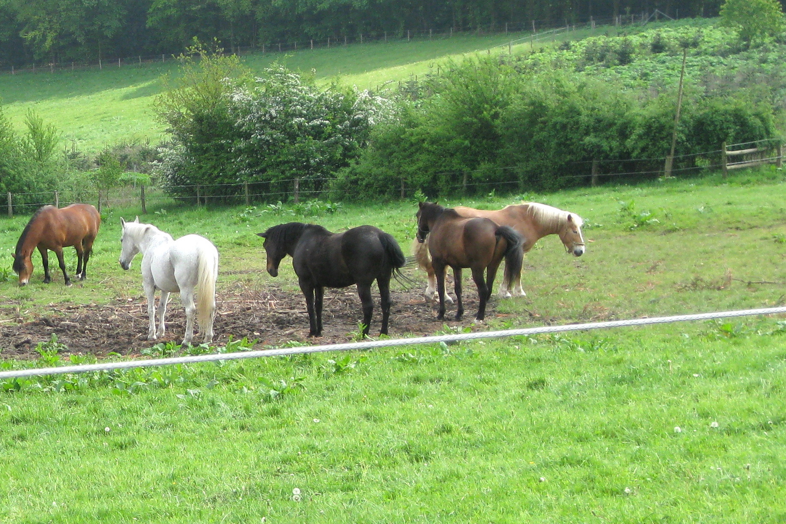 Im Bergischen Land