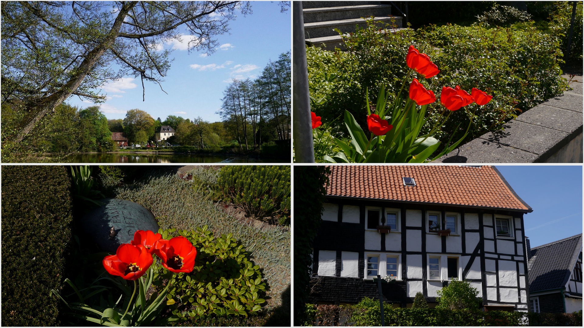 Im Bergischen Land.