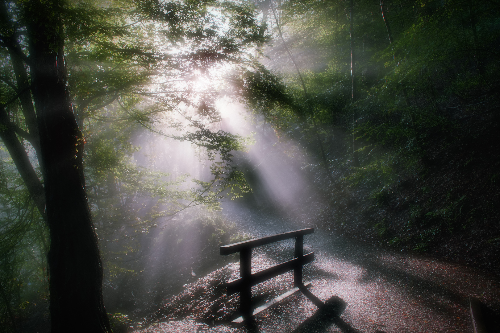 Im Bergischen Land