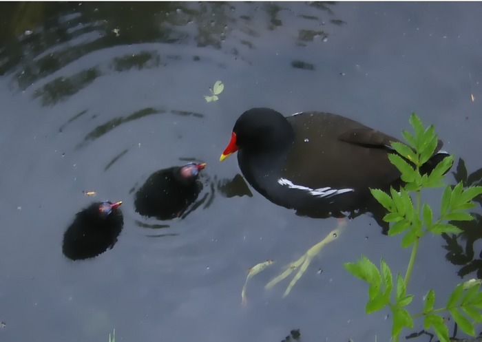 Im Bergpark Wilhelmshöhe in Kassel