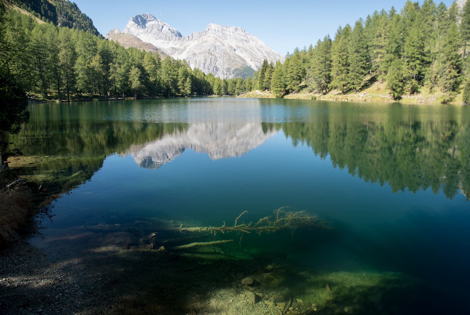 Im Bergsee konserviert