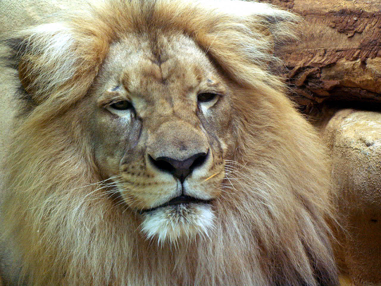 im Bergzoo Halle