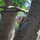 Im Berliner Zoo