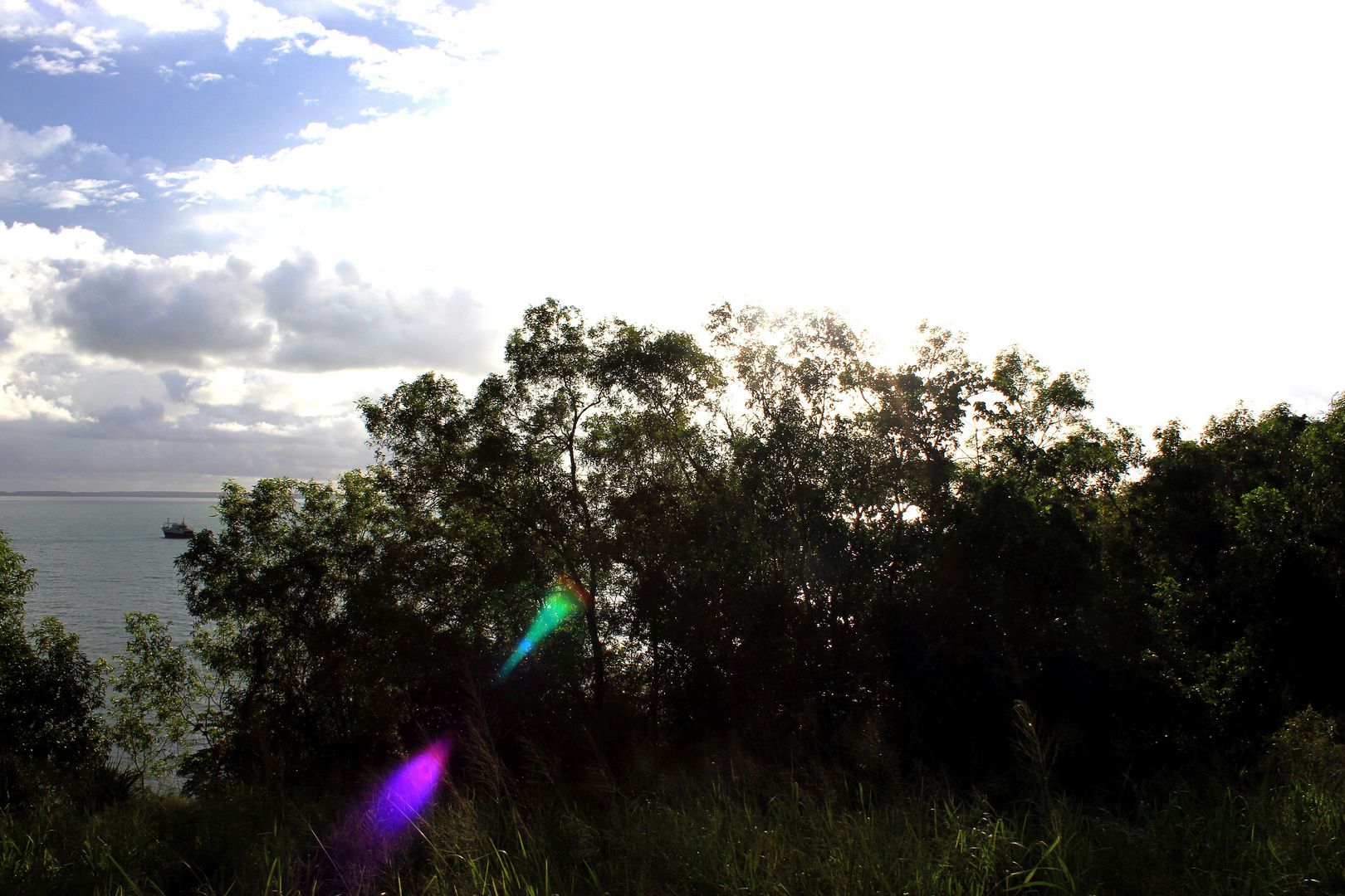 Im Bicentennial Park, Darwin