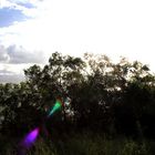 Im Bicentennial Park, Darwin