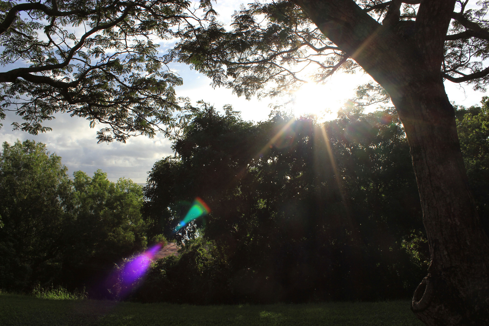 Im Bicentennial Park, Darwin II