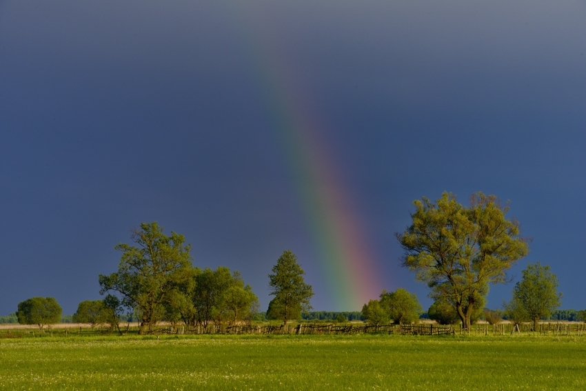 Im Biebrza Nationalpark