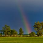 Im Biebrza Nationalpark