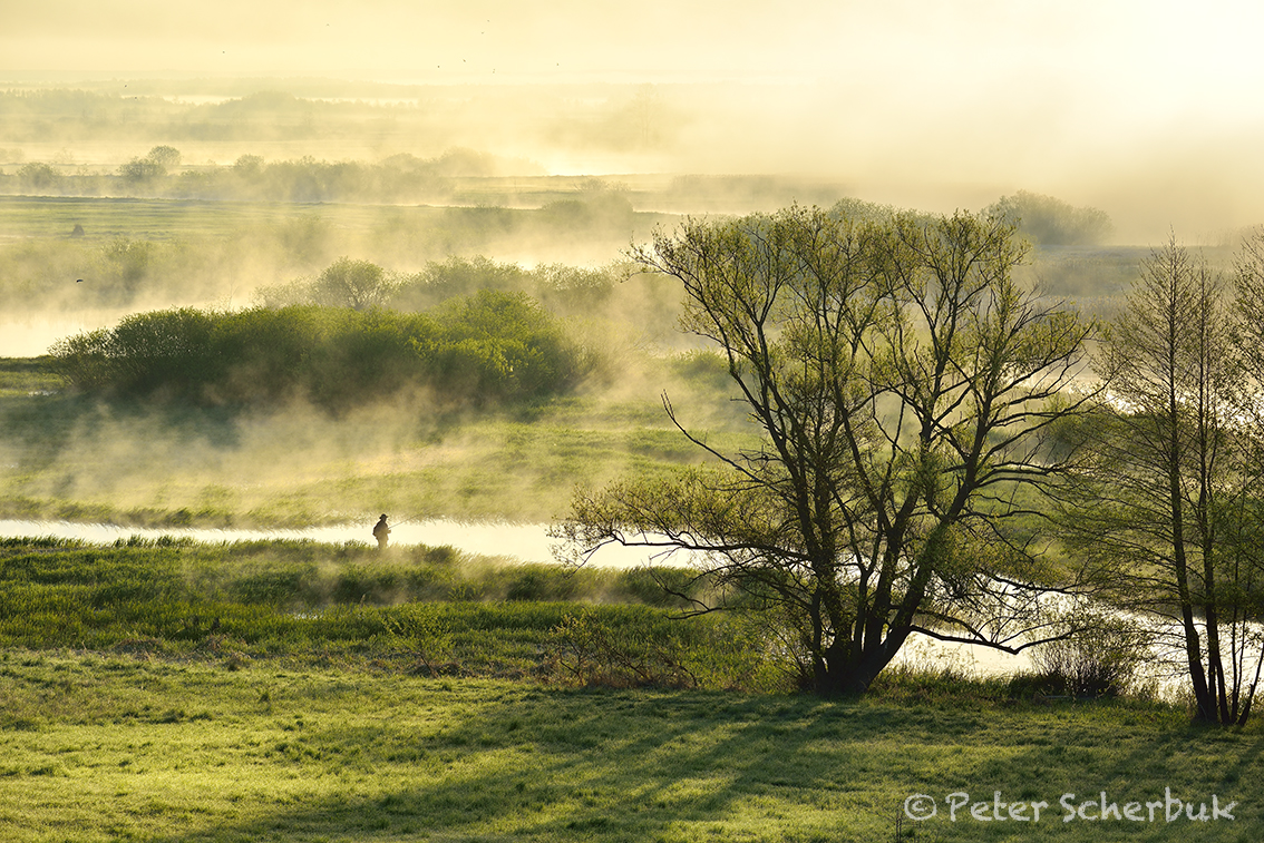 Im Biebrza Nationalpark