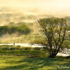 Im Biebrza Nationalpark