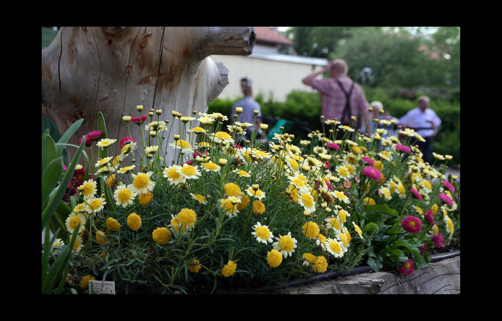 ... im Biergarten ...