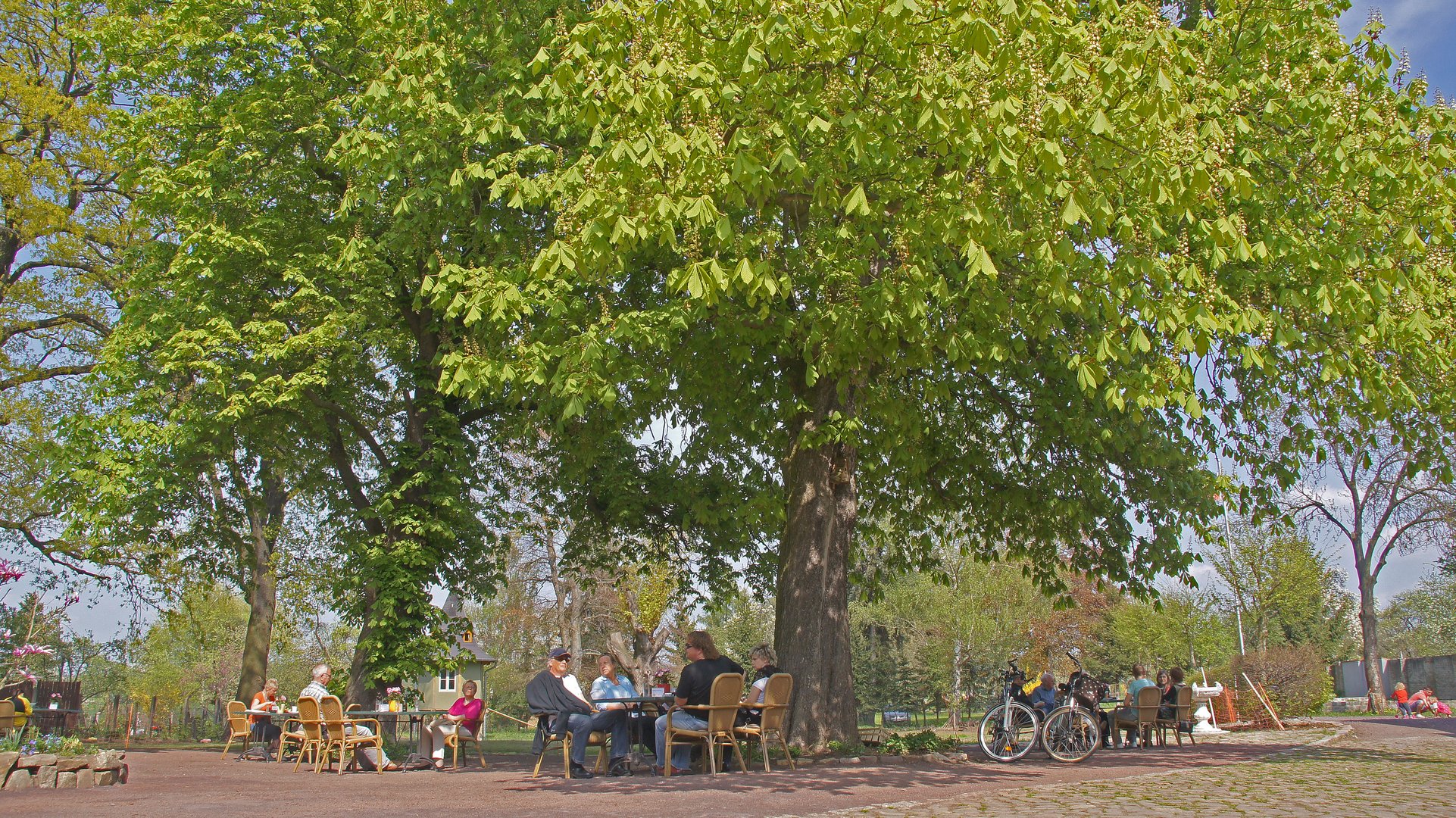 Im Biergarten beim Elbebiber