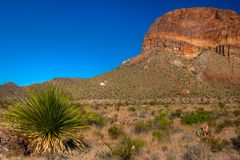 Im Big Bend Ranch State Park