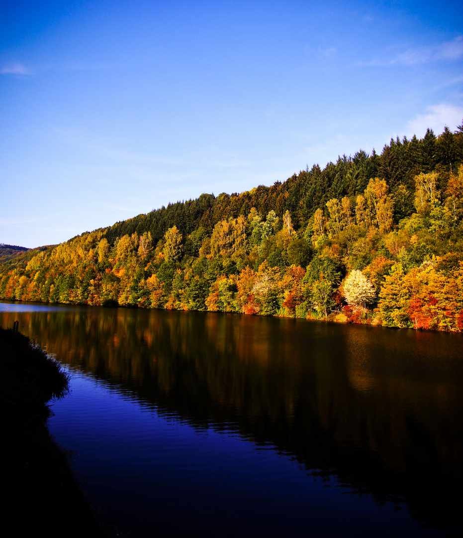 Im Blau gespiegelt