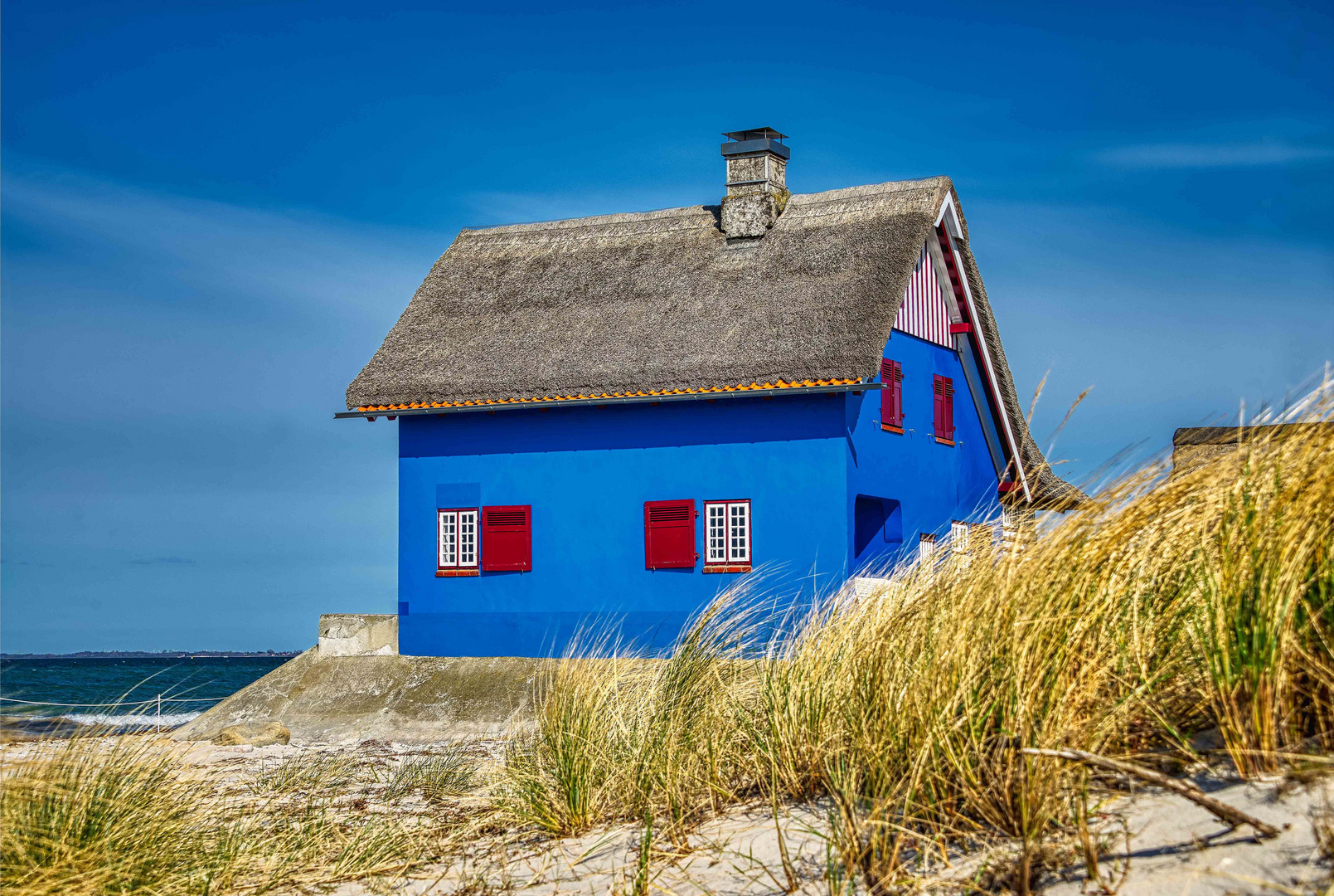 Im blauen Haus