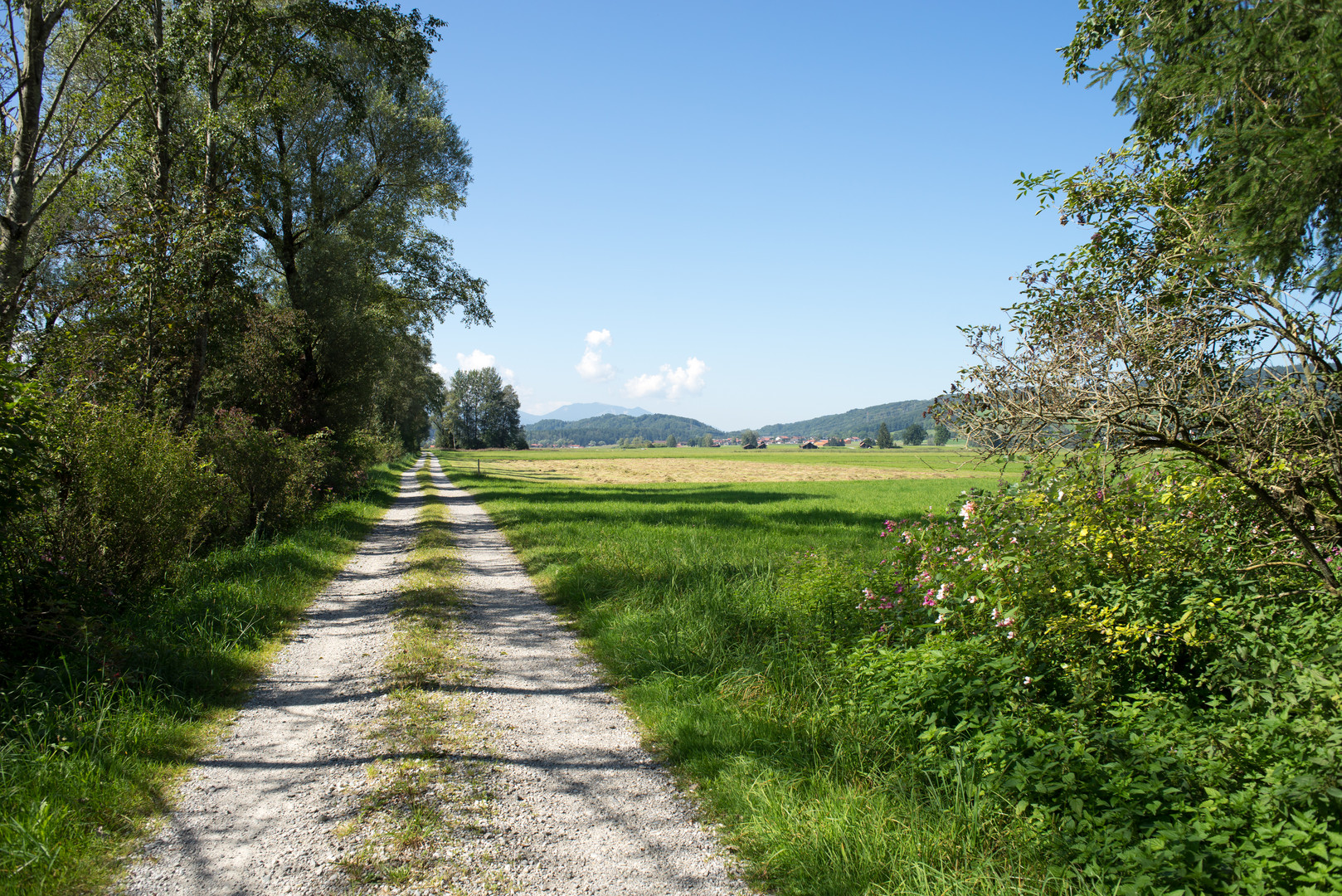 Im Blauen Land 2021